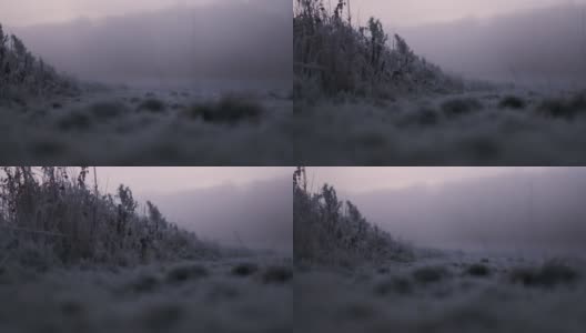 在冬天的黎明，草木被霜覆盖高清在线视频素材下载