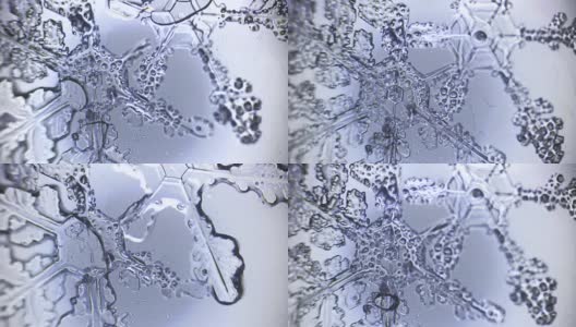 显微镜下双雪花晶枝的背景高清在线视频素材下载