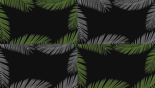 椰子树叶子透明框架移动的风循环和复制空间动画4K在黑色背景和alpha通道高清在线视频素材下载