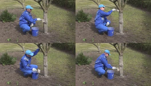 年轻的园丁小心地漂白他的花园树木蚂蚁触摸树枝与爱高清在线视频素材下载