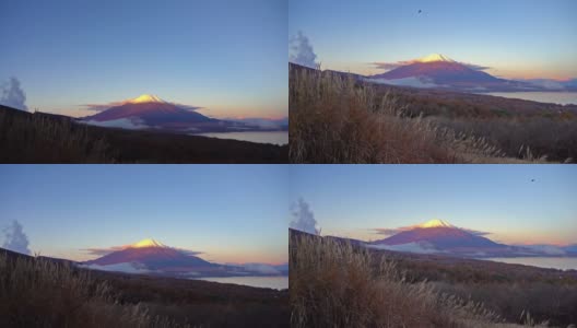 美丽的富士山与枫树在秋天的日本高清在线视频素材下载