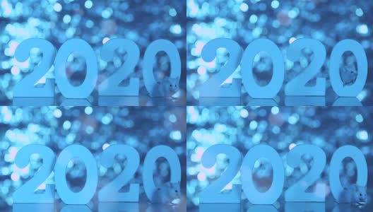 冬天，2020年新年的象征——白色或金属(银)鼠，庆祝概念。数字在一个闪亮的散焦蓝色背景和一个漂亮的白色鼠标。高清在线视频素材下载