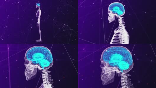 4K数字人体高清在线视频素材下载