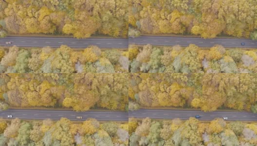 几辆汽车行驶在秋天黄色森林的乡间小路上。汽车通过风景秀丽的方式在美丽的秋天。空中拍摄的秋天乡村道路上的交通。俯视图高清在线视频素材下载