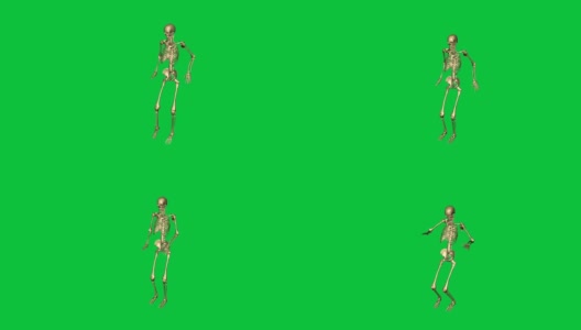 骷髅跳跃引线-在绿色屏幕上分离高清在线视频素材下载