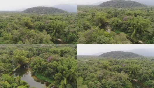 南美洲亚马逊雨林鸟瞰图高清在线视频素材下载