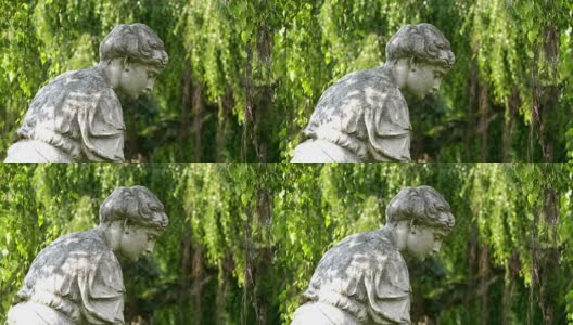 墓地天使雕像高清在线视频素材下载