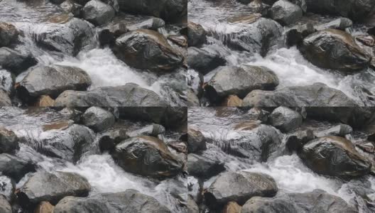 美丽的溪水穿过丛林的岩石高清在线视频素材下载