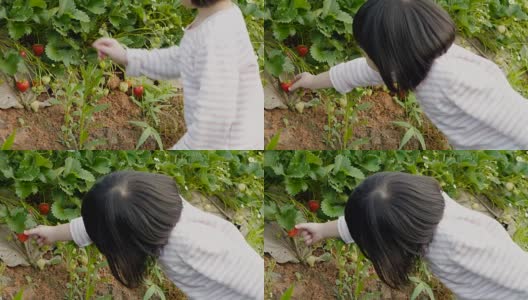 在花园里玩和摘草莓。高清在线视频素材下载