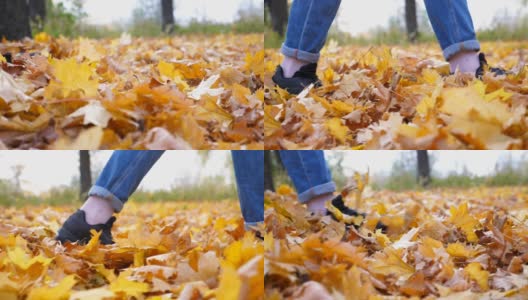 男性的脚踩在森林里五颜六色的落叶上的特写。在秋天的公园里，年轻人走在黄叶覆盖的地上。那家伙的腿踢着干枫叶。慢动作高清在线视频素材下载