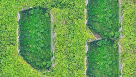 地面下沉，在原始森林中形成了一个巨大的天坑高清在线视频素材下载