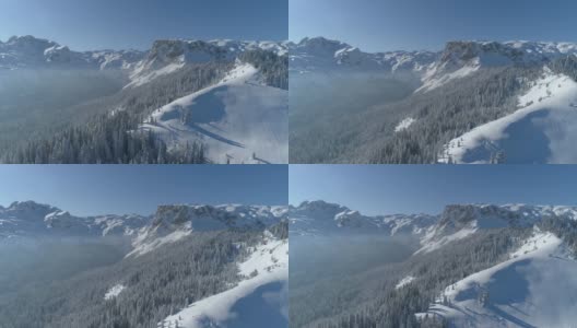 飞过白雪覆盖的云杉森林，背景是山脉高清在线视频素材下载