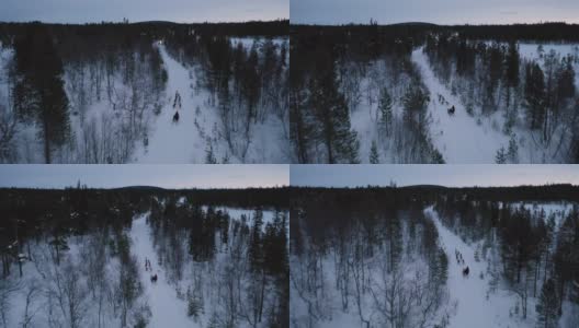 冬季，狗在深雪林里拉雪橇的跟踪镜头高清在线视频素材下载