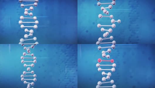 基因组编辑(垂直，蓝色)高清在线视频素材下载