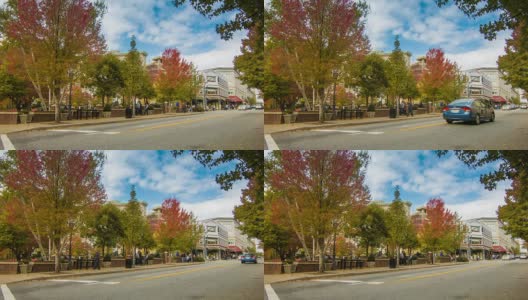 阿什维尔市中心，北卡罗来纳州的普里查德公园在秋天高清在线视频素材下载