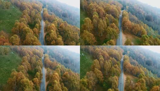 向前空中俯瞰道路在多彩的乡村秋天森林。秋天有橙、绿、黄、红的树林。山区街道道路的建立。4k无人机飞行直线下降建立拍摄高清在线视频素材下载