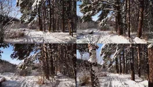 在白雪皑皑的森林里沿着小路走。稳定的框架pov射击。阳光明媚的一天。高清在线视频素材下载