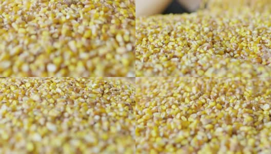 特写新鲜收获的黄色玉米粒，慢镜头高清在线视频素材下载