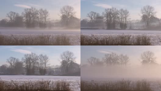 清晨薄雾，冬季农田4K。UHD高清在线视频素材下载