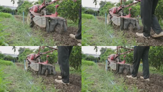 在种植园中控制双轮拖拉机在土壤上犁地的农民高清在线视频素材下载