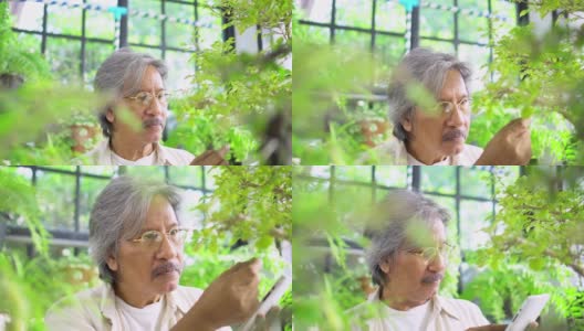 4K亚洲资深男子照顾和修剪盆景树在温室花园。快乐的男性退休老人在家放松和享受休闲活动。老年人的爱好、生活方式和保健理念。高清在线视频素材下载