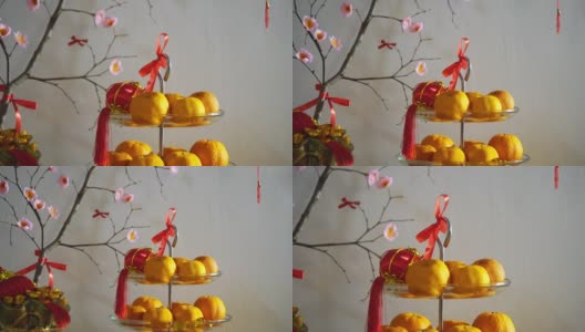 红灯笼和人工盛开的樱桃作为家装高清在线视频素材下载