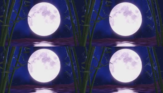 满月之夜或超级月亮倒映在海面上。这幅画的背景是竹子高清在线视频素材下载