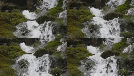 水流在石缝间流动。在喀尔巴阡山脉，清澈的水沿着带有苔藓的黑色潮湿石头快速流下。高清在线视频素材下载