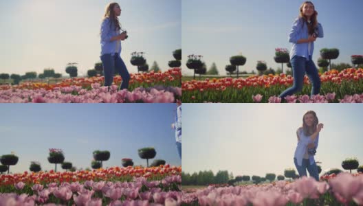阳光明媚的日子里，一个快乐的女人拿着相机在郁金香田里散步，抚摸着鲜花。高清在线视频素材下载