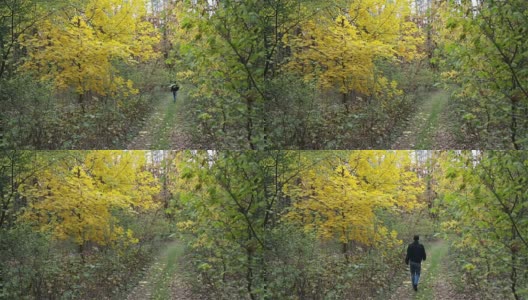 年轻人走在秋天的森林里。高清在线视频素材下载