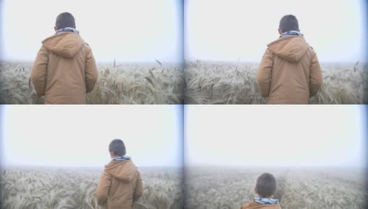 日出时分，男孩走在麦田上，麦田里弥漫着薄雾高清在线视频素材下载
