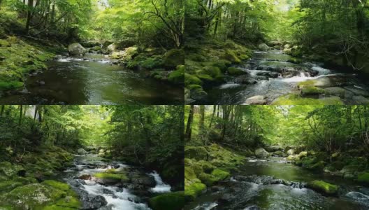 清澈溪流景观高清在线视频素材下载