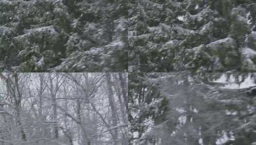 冬季驾驶-驾驶在一个崎岖的乡村道路，通过一个积雪的森林-手持镜头向树梢高清在线视频素材下载