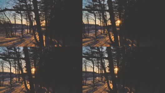日出日落穿过树枝在冬天。雪林，阳光4k高清在线视频素材下载