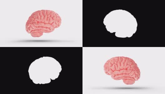 孤立的人脑的3D循环高清在线视频素材下载