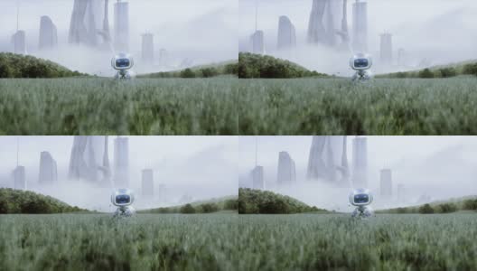 一个有趣的玩具机器人在一个未来城市的背景草地上。未来的概念。现实的4 k的动画。高清在线视频素材下载