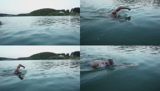 HD CRANE:在湖里游泳高清在线视频素材下载