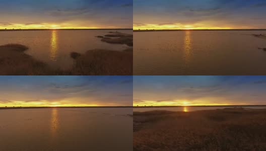 鸟瞰图美丽的湖和芦苇田在日落高清在线视频素材下载