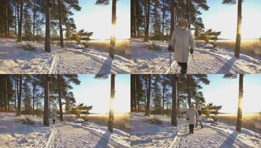 适合所有年龄的冬季运动-北欧步行活跃的人在雪域森林徒步旅行高清在线视频素材下载