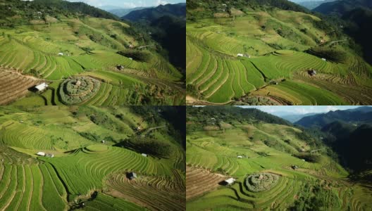 梯田在丘陵或山区耕作，通常在东部，南部和东南亚耕作高清在线视频素材下载