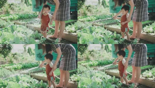 年轻女子和她可爱的儿子在给植物浇水高清在线视频素材下载