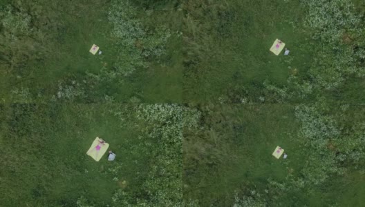 一个女人在绿色的草地上晒太阳。他趴在一张黄色的地毯上。航空摄影。高清在线视频素材下载