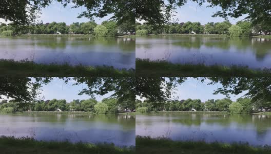 公园里美丽的湖高清在线视频素材下载