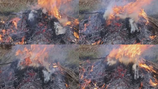 自然灾害中焚烧草甸野火破坏草甸的空气污染生态问题高清在线视频素材下载