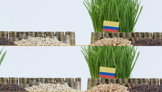 哥伦比亚国旗飘扬着成堆的钱币和小麦高清在线视频素材下载