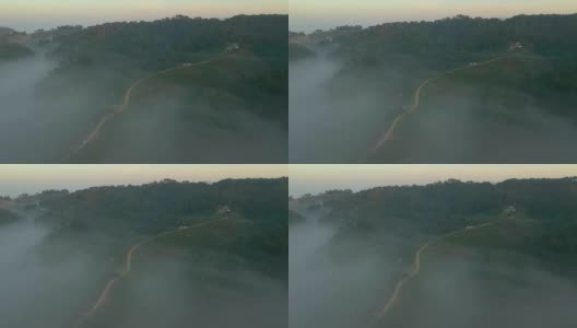 左侧俯视图中有雾的茶园梯田高清在线视频素材下载