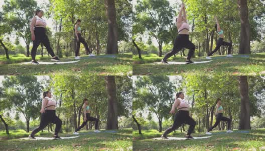 健康的年轻高大的女人和朋友在户外的公园练习瑜伽高清在线视频素材下载