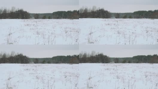 雪花飘落在美丽的灰色冬日风景上高清在线视频素材下载