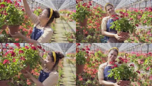 女花匠在花房的花丛中行走高清在线视频素材下载