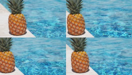 泳池边游泳池附近的菠萝高清在线视频素材下载